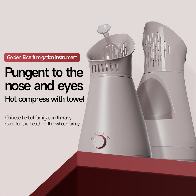 KD231  Steam Beauty Device