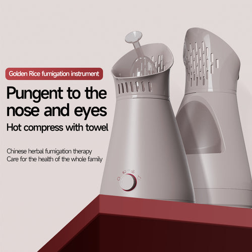 KD231  Steam Beauty Device