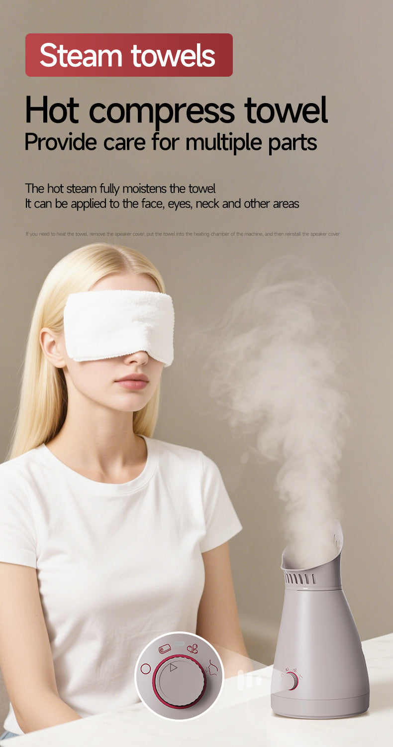 KD231  Steam Beauty Device