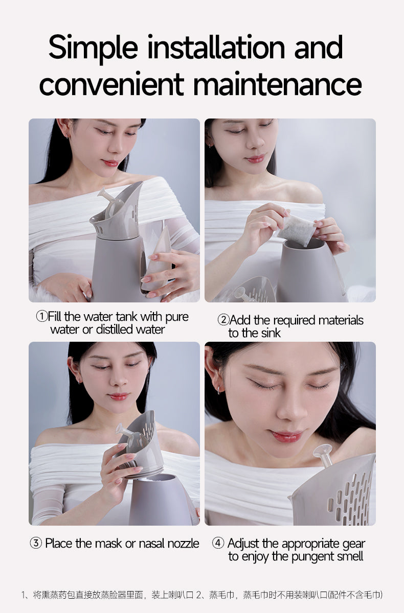 KD231  Steam Beauty Device