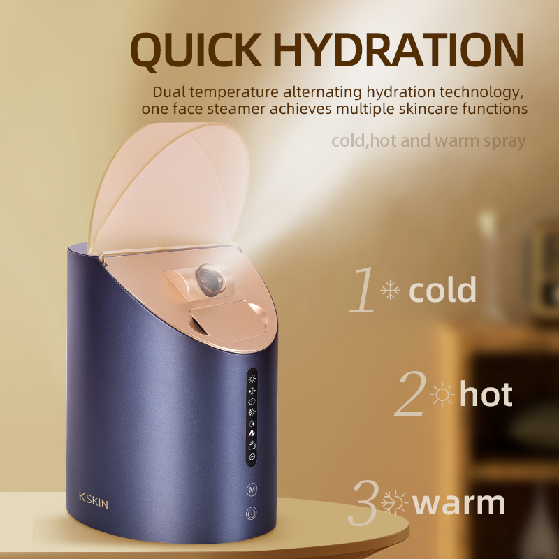 KD2310 Eight-function facial steaming spray