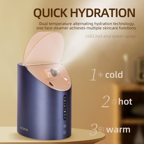 KD2310 Eight-function facial steaming spray