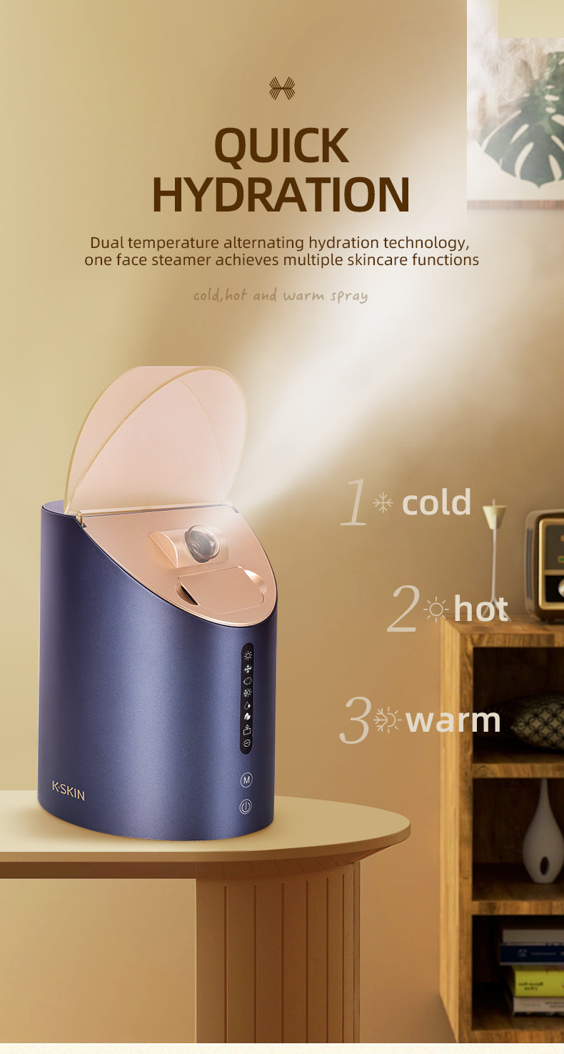 KD2310 Eight-function facial steaming spray
