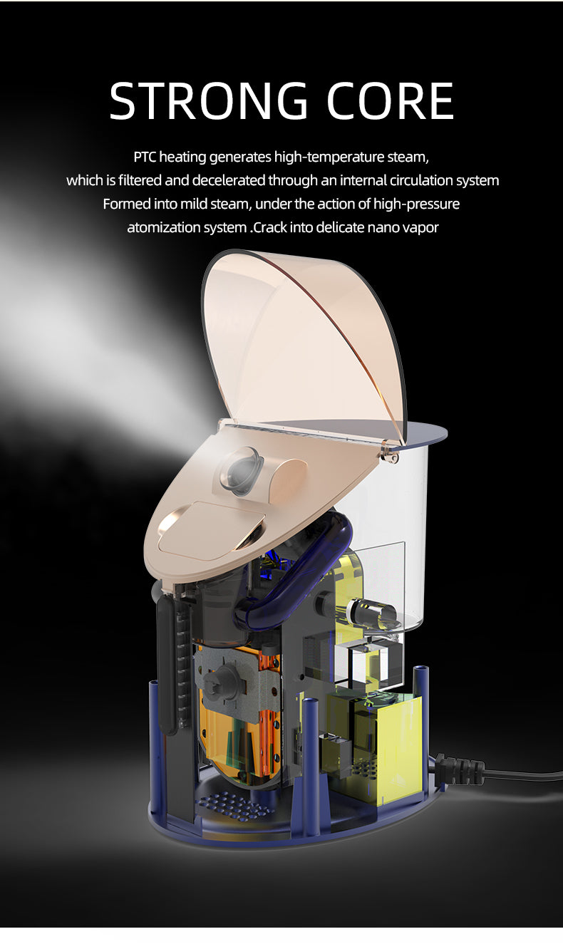 KD2310 Eight-function facial steaming spray