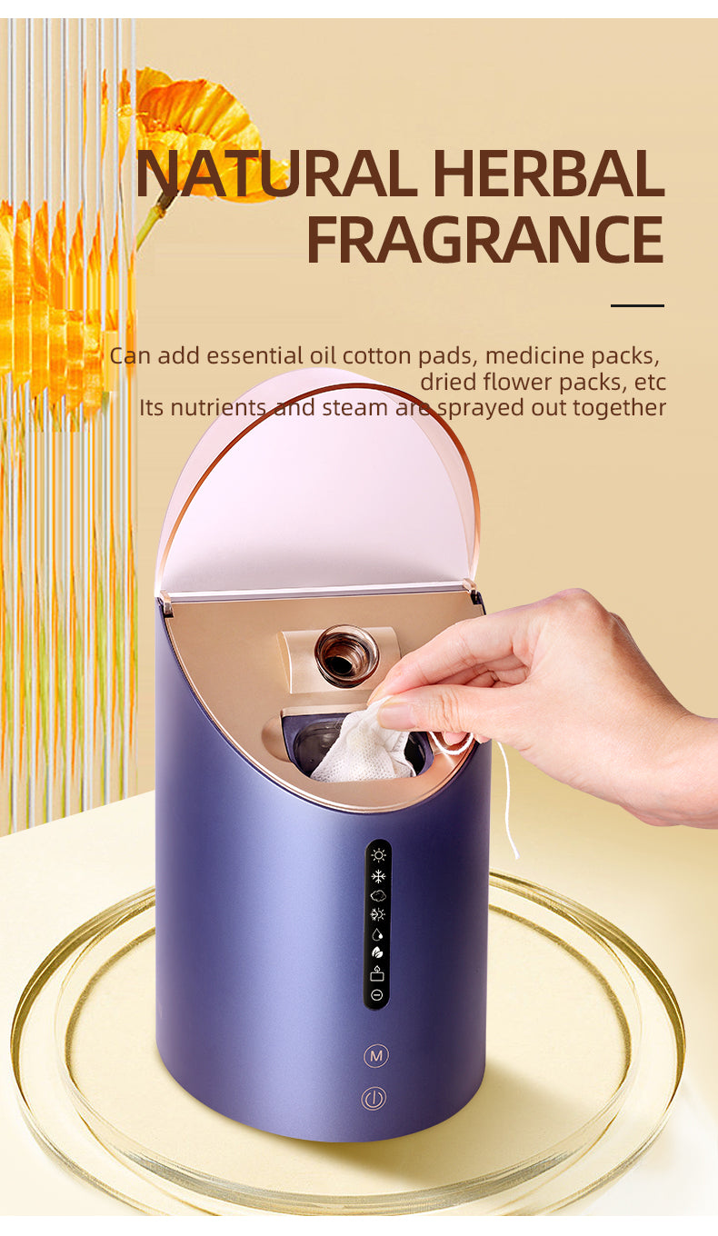 KD2310 Eight-function facial steaming spray